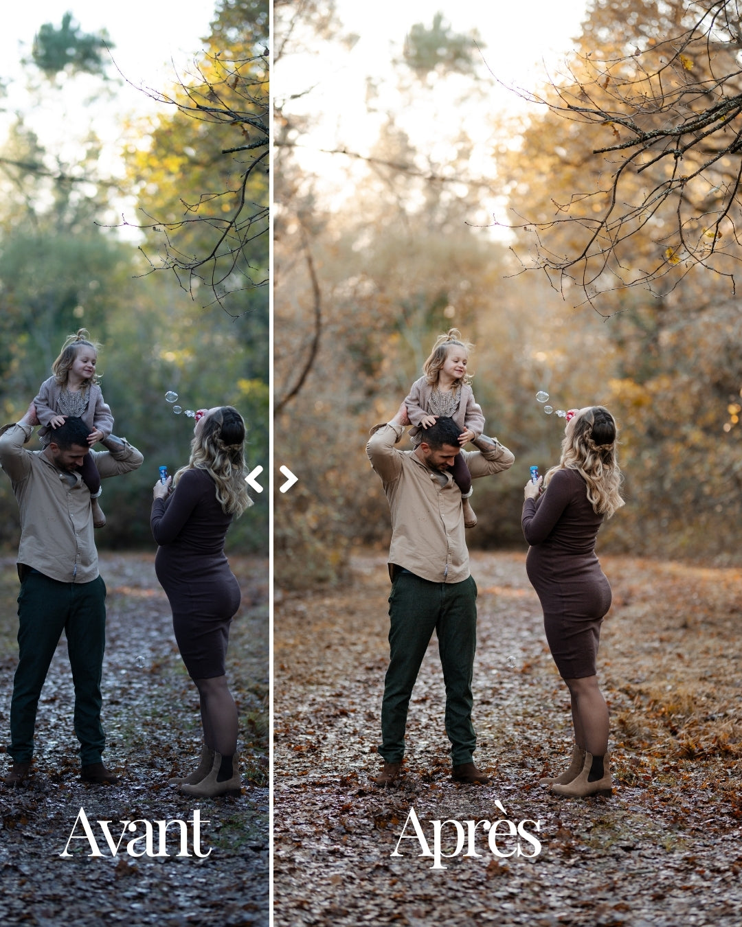 Golden Forest - Pack de 5 presets