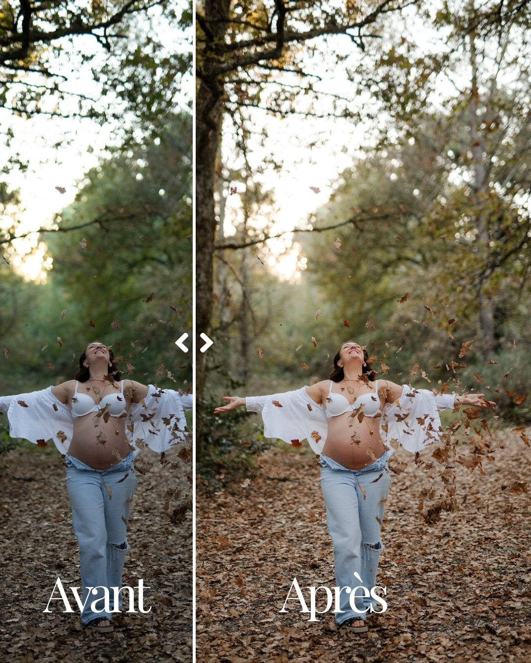 Golden Forest - Pack de 5 presets
