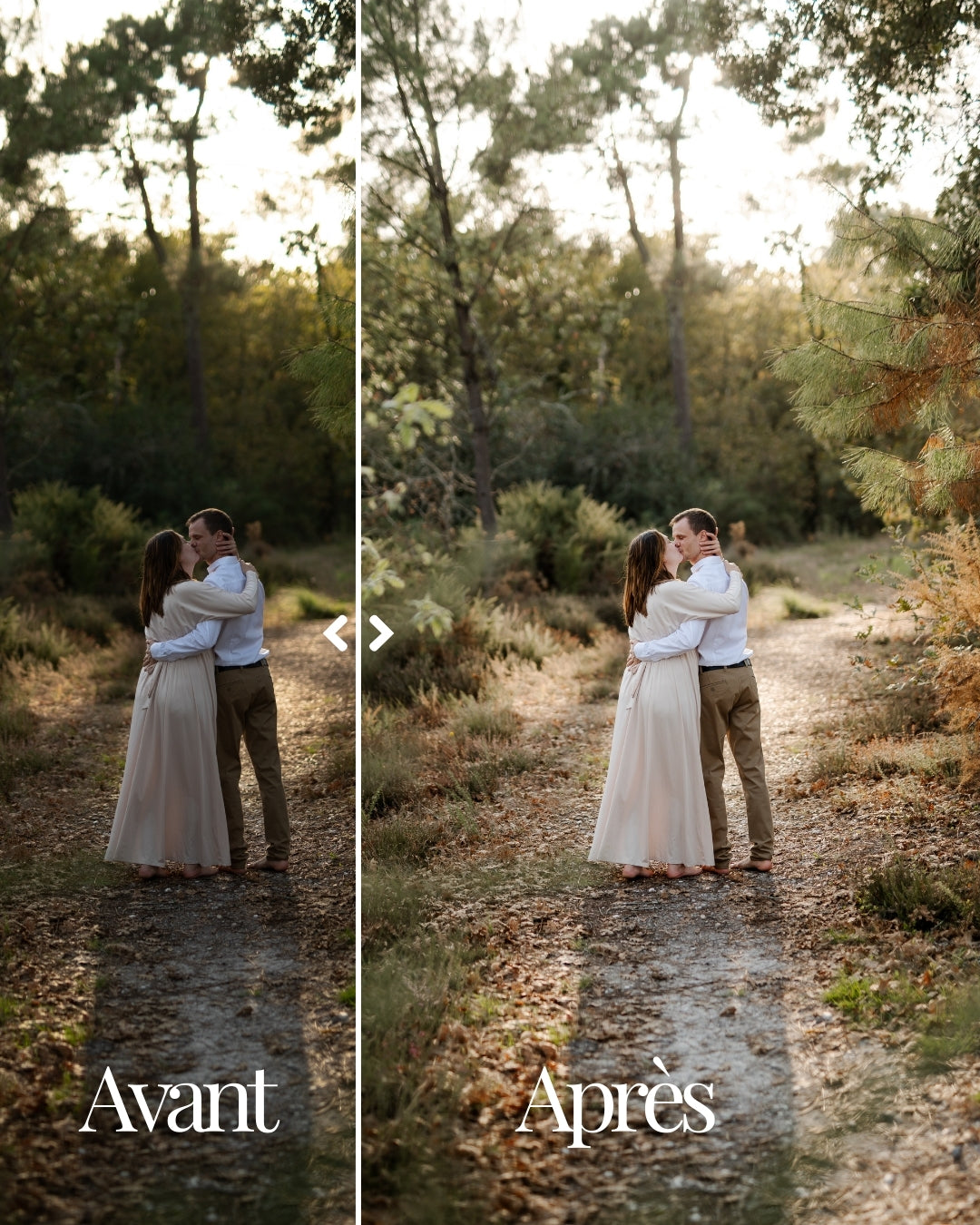 Golden Forest - Pack de 5 presets